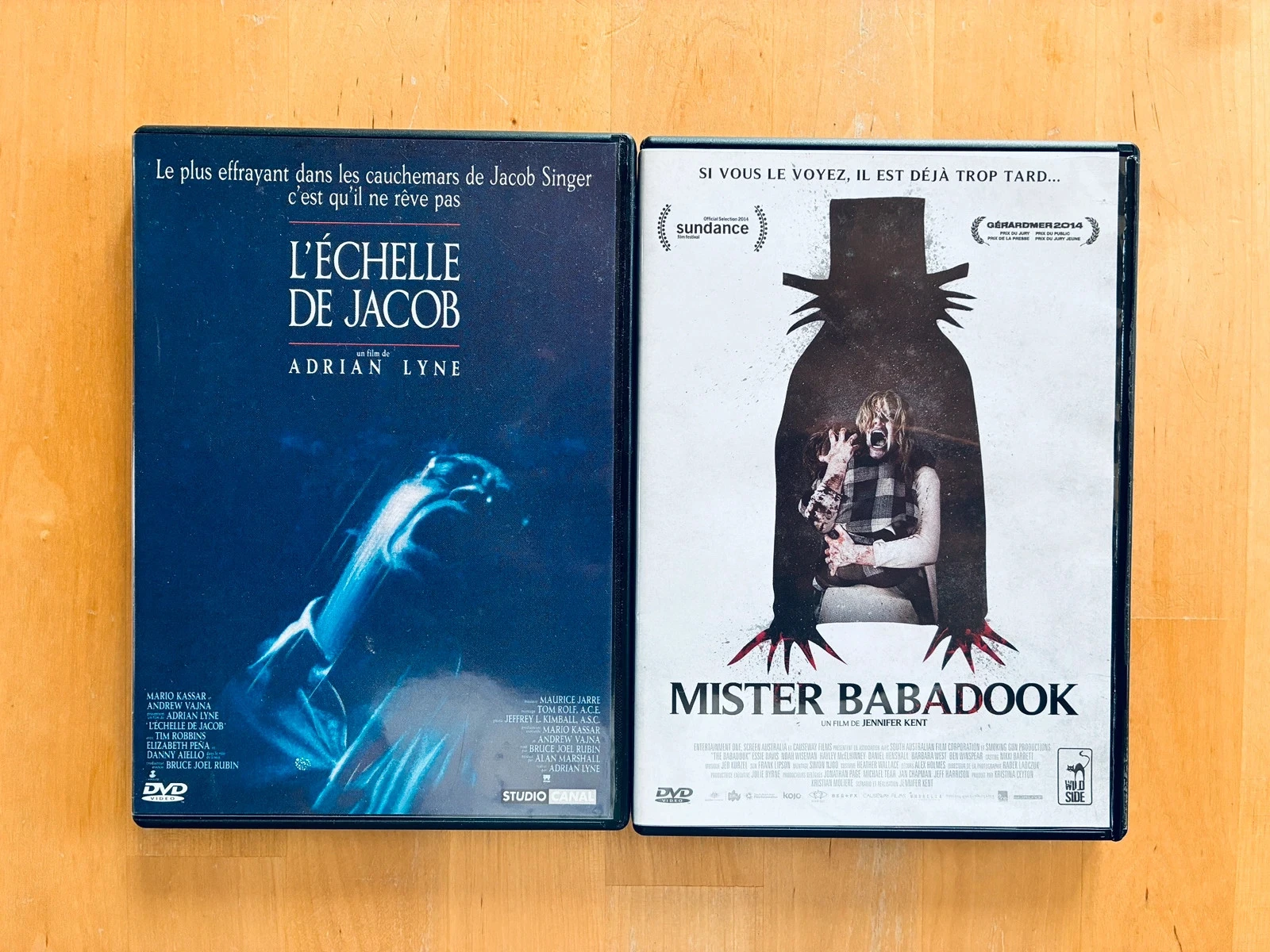 Lot 2 DVD horreur cultes: L’échelle de Jacob et Mister Babadook.
